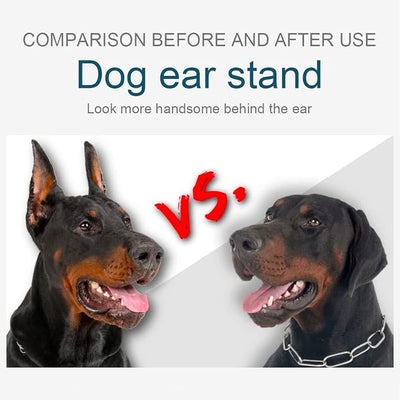 Doberman Dog Ear Posting Kit, Dog Ear Stand Up Support Tool, Dogs Ears Tap for Doberman Pinscher