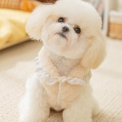 Lace Bow Decoration Puppy Coats Fleece Winter Shirts for Small Medium Pups for Chihuahua Yorkie Teacup Dogs Christmas Outfit