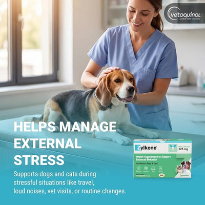 Vetoquinol Zylkene - Calming Oral Support for Medium Dogs & Large Cats - Supports Behavior & Occasional Anxiety - for Boarding, Vet Visits & Celebrations - Non-Drowsy & Lactose-Free - 14 Capsules