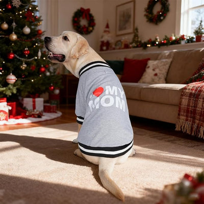 Cute Dog Sweater - Stretchy Dog Pullover Sweatshirt,Soft and Warm Winter Clothes for Boy & Girl Dogs,Suitable for Puppies & Adult Dogs (Light Grey (Mom), Small)