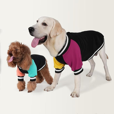 Cute Dog Sweater - Stretchy Dog Pullover Sweatshirt,Soft and Warm Winter Clothes for Boy & Girl Dogs,Suitable for Puppies & Adult Dogs (Black+Yellow+Purple, Large)