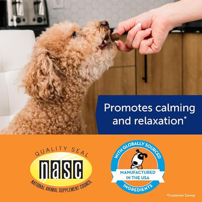 ThunderBites Hemp Calming Chews for Dogs, Everyday Use Can Help Relieve Stress from Separation, Storms, Fireworks & Travel (60 Count), Formerly ThunderWunders