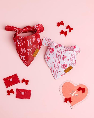 Remy+Roo Dog Bandanas - 2 Pack | Be Mine Valentine's Day Dog Bandanas Set | Premium Durable Fabric | Patented Shape Bandanas for Dogs (Be Mine, Large)