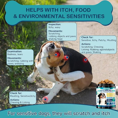Dog Allergy Chews for Dog Itching Skin Relief, 200 Dog Allergy Relief Treats with Probiotics for Dogs, Immune Support & Skin Relief for Seasonal Allergies, Gut & Digestive Health, Chicken Flavor