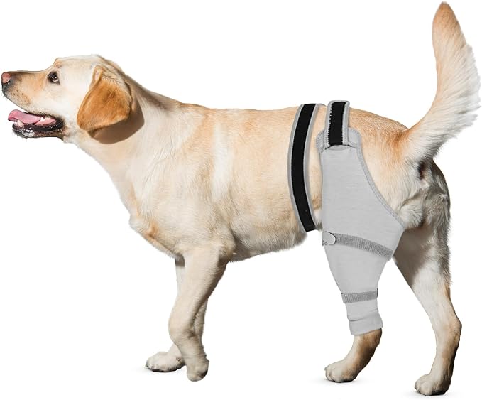 Dog Rear Leg Sleeve to Stop Licking, Hind Leg Protector After TPLO Recovery, ACL Surgery, Wounds or Skin Issues, Soft Breathable Comfortable Cover for Large Medium Small Dogs, M,Right, Black