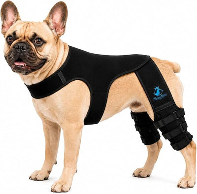 Dog Rear Knee Brace for Small & Medium Breeds, Adjustable Hind Leg Support for ACL/CCL Injury Recovery, Joint Stability, Ligament Protection & Injury Prevention (L)