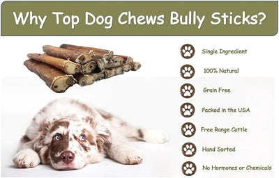 Top Dog Chews 6" Bully Sticks - 100% Natural, Grass-Fed Beef from Free-Ranging Cattle, 25 Pack of, Long Lasting Dog Treats for Small, Medium, and Large Dogs, Ideal for Chewing, Healthy Teeth & Gums