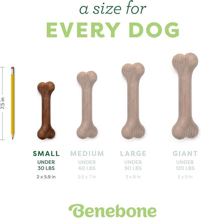 Benebone Bone Durable Dog Chew Toy for Aggressive Chewers, Real Bacon, Made in USA, Small