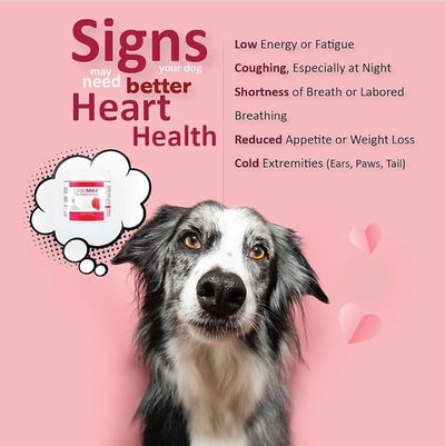 Heart Support Supplement for Dogs-Vet-Formulated, Antioxidant-Rich-L-Taurine, L-Carnitine,EPA,DHA,CoQ10-Aids Circulatory Strength, Cardiovascular Support, Heart Muscle Function-USA Made-120 Soft Chews