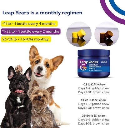Soft Chew, Dog Supplement for Brain, Heart, Muscle Health, Small/Medium Dog | 31 Chews, Supports Longevity, Veterinarian-Formulated with NAD+ & Senolytic, Patent-Pending Formula, Small/Medium Breed