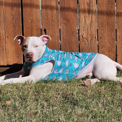 Pittie Clothing Pit Bull Muscle Tee for Dog Breed Dog Shirts Pet Printed Clothes Cool Funny