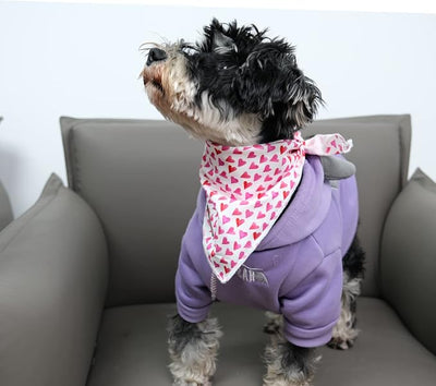 Valentine's Day Dog Bandanas Boy Girl White Red Pink Love Cotton Washable Dog Scarf Adjustable Pet Bib Scarves for Small Medium Large Dogs L
