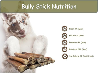 Top Dog Chews 6" Bully Sticks - 100% Natural, Grass-Fed Beef from Free-Ranging Cattle, 25 Pack of, Long Lasting Dog Treats for Small, Medium, and Large Dogs, Ideal for Chewing, Healthy Teeth & Gums