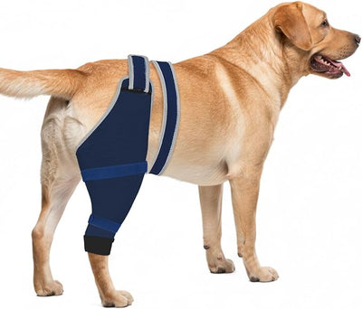 Dog Sleeve for Rear Legs to Stop Licking, Upgraded Recovery Sleeve for Hind Back Leg Wounds,TPLO, ACL Surgery, Light Comfortable Cone Alternative,Left,L,Blue