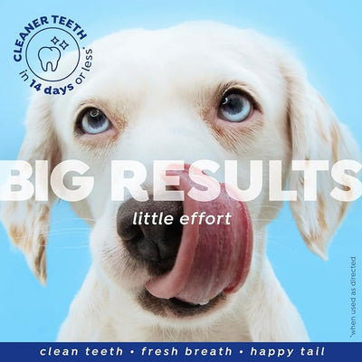 Naturel Promise Fresh Dental Water Additive for Dogs 2-Pack, 18oz Each — Dog Breath Freshener & Teeth Cleaning Solution, Better Value for Daily Use