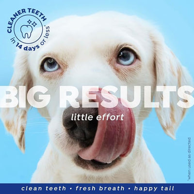 Naturél Promise Fresh Dental Breath Freshener & Teeth Cleaning Water Additive for Dogs, 18 oz Bottle