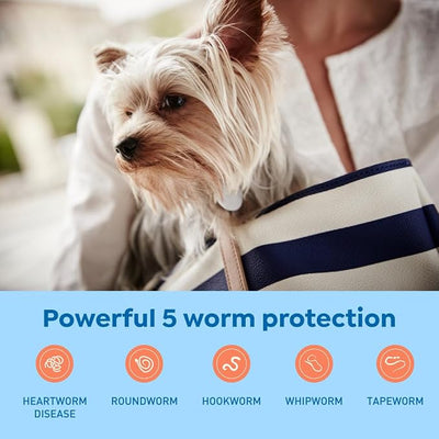 Interceptor Plus Prevention for Heartworm + 4 Other Worms for Dogs 2-8 lbs. | 6 Chews, 6-Month Supply