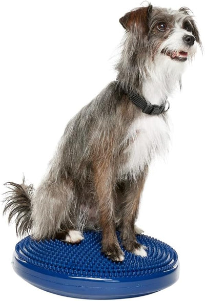 FitPAWS® Dog Balance Disc – 14”, Blue | Dog Exercise Equipment | Workout Tool for Strength, Core, Stability & Rehabilitation