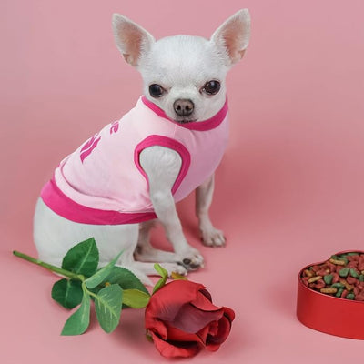Reginary 8 Pieces Dog Shirts Girl Small Dog Clothes for Chihuahuas Yorkies Female Puppy Shirts Printed Pet Outfit Cute Breathable Soft Valentine's Day Doggie Cat Lovers Gift(Vivid Pattern,Size M)