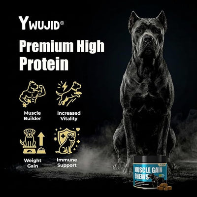 Muscle Gain Chews Dog Weight Gainer Supplements with High Protein & Canine Amino Acids Puppy Vitamins Canine Muscle Builder Formula for Bully & All Breeds Puppies & Adult & Senior Dogs-100