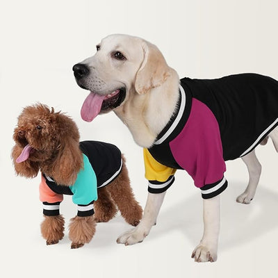 Cute Dog Sweater - Stretchy Dog Pullover Sweatshirt,Soft and Warm Winter Clothes for Boy & Girl Dogs,Suitable for Puppies & Adult Dogs (Black+Blue+Orange, X-Small)
