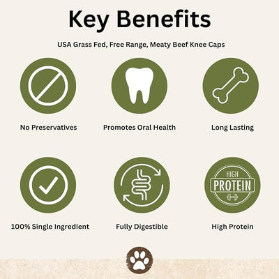 Top Dog Chews – Knee Caps, 10 Count, Dog Beef Chew Bones, Long Lasting Treats for Aggressive Chewers, Perfect for Large Medium, or Small Dogs, Made in USA