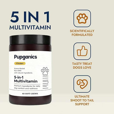 Multivitamin Soft Chews for Dog, with Probiotics, Glucosamine, CoQ10, Vitamins A, D3 & E, Chicken Flavor, 60 Count