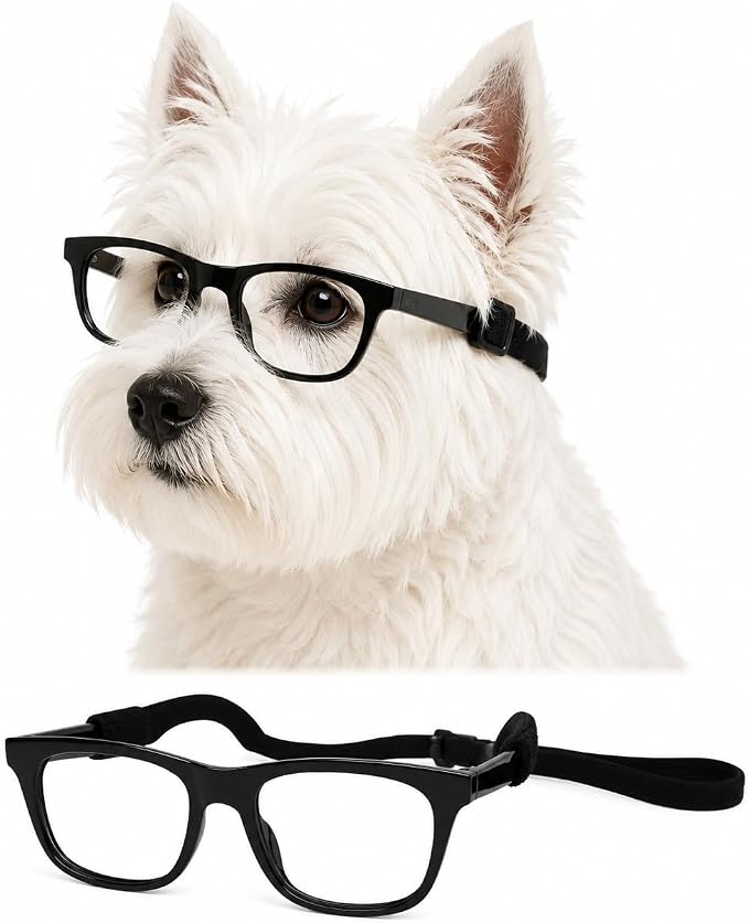 G002 Dog Pet Clear Lens Costume Glasses Small to Medium Breeds 12LBS~30LBS Prop Photoshoot Sunglasses (80s Black-Clear)