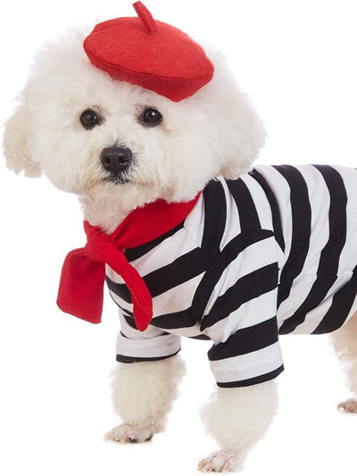 Artist Dog Costume with Funny Hat Painter Pet Clothes for Small Dog Shirts Puppy Summer T-Shirt (XL) Black