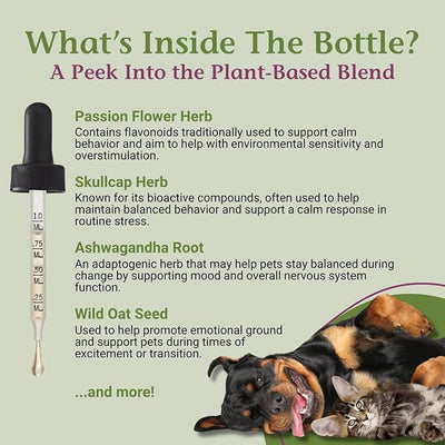 PetAlive EaseSure-S Nervous System Support for Dogs and Cats - Herbal Drops with Passion Flower, Skullcap, Ashwagandha, Wild Oat - Pet Involuntary Muscle Movements and Twitching - 2 Fl Oz