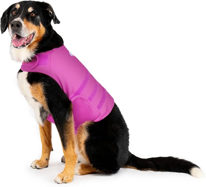 Dog Anxiety Calming Wrap, X-Large, Radiant Orchid
