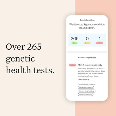 Wisdom Panel Premium Dog DNA Testing Kit - Most Comprehensive Test - 265+ Health Tests, 430+ Dog Breeds, 50+ Traits, Relatives, Ancestry, 2 Pack