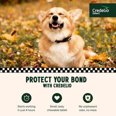 Credelio (lotilaner) Tick & Flea Treatment + Flea Infestation Protection for Dogs 12.1-25.0 lbs. (3 Tablets)