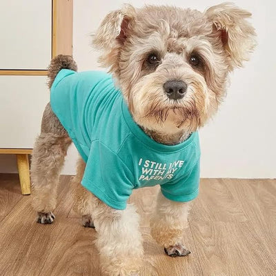 Cute Dog Clothes, T Shirt for Medium and Small Dogs Girl Boy,Puppy.Breathable Soft Dog Costume for Pet Dogs Cats, Pet Pullover Jumper, Cat Clothes (M-(7~11lb), Chest~16", Aqua)