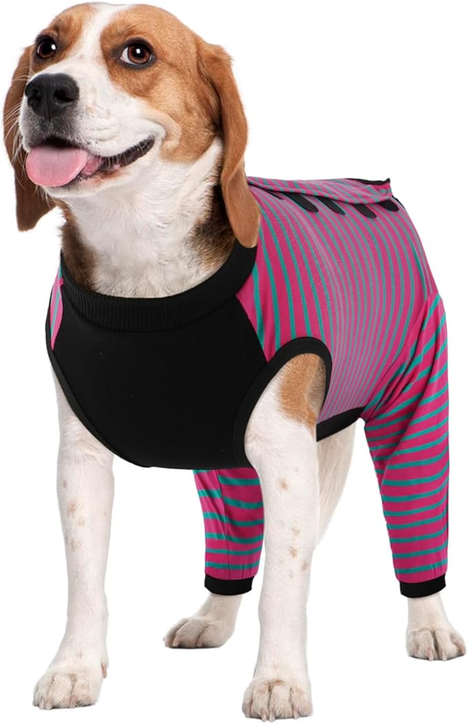Kuoser Dog Recovery Suit with Anti Licking Rear Leg Sleeve, Rose M | Abdominal Dog Surgical Suit with Pants Cover Protect Wounds, Dogs Elbow Protector Soft Pet Surgery Onesie Cone Alternative