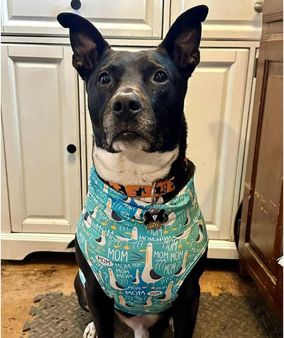 Pittie Clothing Pit Bull Muscle Tee for Dog Breed Dog Shirts Pet Printed Clothes Cool Funny