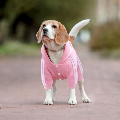 Dog Hoodie Security Clothes 4 Legs Jumpsuit Sweatshirt Hoodies Soft & Warm Dog Outfit Pullover Dog Winter Clothes Sweater for Small Medium Large Dogs Cats (Pink, X-Large)