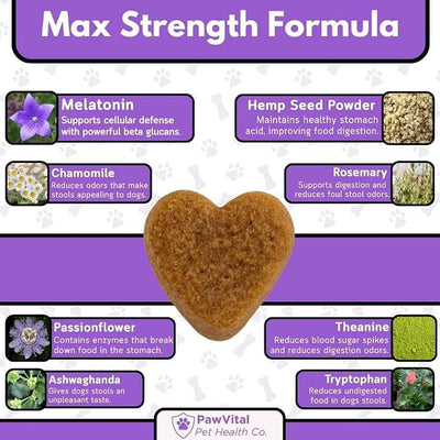 Melatonin Calming Chews for Dogs – Natural Sleep Aid & Anxiety Relief – Dog Calming Treats with Chamomile, Valerian Root, Ashwagandha & Theanine – 90 Soft Chews for Small & Large Breeds