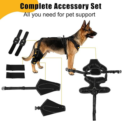 Vivifying Dog Hip & Leg Support Harness for Mobility Assistance, Adjustable Rear Leg Brace with Lift Handle for Injured or Senior Dogs, Joint Stabilizing Hind Leg Support for Walking, Recovery (M)