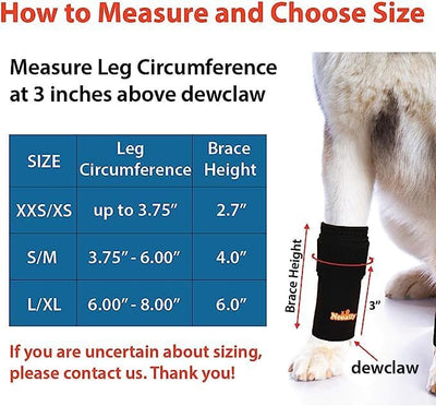 NeoAlly - Front Leg Brace for Dogs and Cats, Dog Leg Brace for Improved Pet Mobility, Dog Leg Sleeve for Carpal Support, Dog Leg Sleeve with Reflective Straps, Small to Medium, Black, 1 Pair