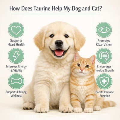 PawVita Taurine Powder for Dogs & Cats - Heart, Vision & Growth Support, 99.99% Pure Taurine Supplement, No Fillers, Increase Energy, Promote Metabolism