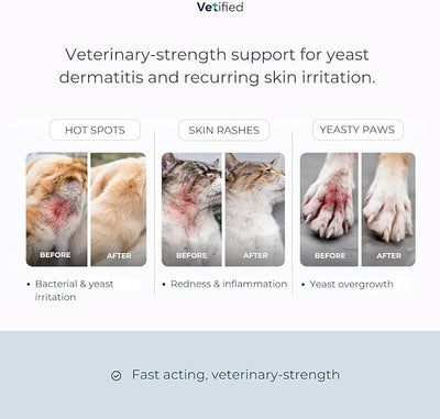 Yeast Dermatitis Spray for Dogs | Veterinary Strength Yeast Infection Treatment for Dogs, Paws and Ears | Topical Anti Yeast Care (+ 30 Day Vet Access) | 8 fl oz | NDC 86247-001-08