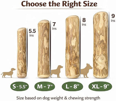 Coffee Wood Dog Chew - Natural Stick for Moderate Chewers, Safe Alternative to Nylon & Plastic, Medium