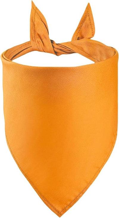 Petitebella Single Color Pet Bandana (Orange, Large)
