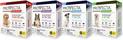 Provecta 4 Doses Advanced for Dogs, Small/5-10 lb (Pack of 2)