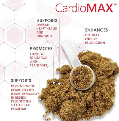 Heart Support Granules for Dogs – Vet-Formulated, Antioxidant-Rich- L-Taurine, L-Carnitine, EPA, DHA, CoQ10- Aids Circulatory Strength, Cardiovascular Support, Heart Muscle Function-USA Made- 90 Doses