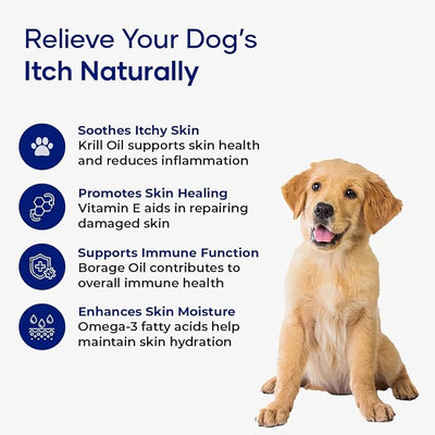 Itch Relief Chews for Dogs – Anti Itch Dog Allergy Relief | Borage Oil, Omega 3, Vitamin E | Dog Itching Skin Relief, Hot Spot Treatment, Seasonal Allergy Supplement | Soft Chews | Pack of 2