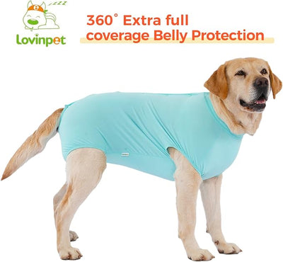 LovinPet Dog Recovery Suit, Easy Snap-Back Cover for Large Dogs, Bodysuit for Female Dogs, Solid-Color Surgery Suit with Cushioned Belly Panel, Green, L
