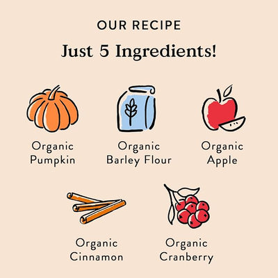 Bocce's Bakery Natural, Small Batch, Organic Dog Treats, Pumpk'n Harvest Biscuits, Wheat-Free, Limited-Ingredient, Made in The USA with 100% Recyclable Packaging, 12 oz Bag