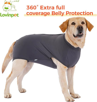 LovinPet Dog Recovery Suit, Snap-Back Post-Op Onesie for Large Dogs, Post-Spay Bodysuit for Female Dogs with Cushioned Belly Panel, Grey, XL